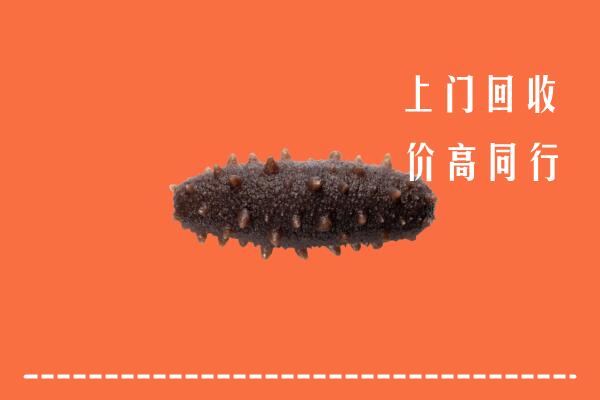 通城县回收海参
